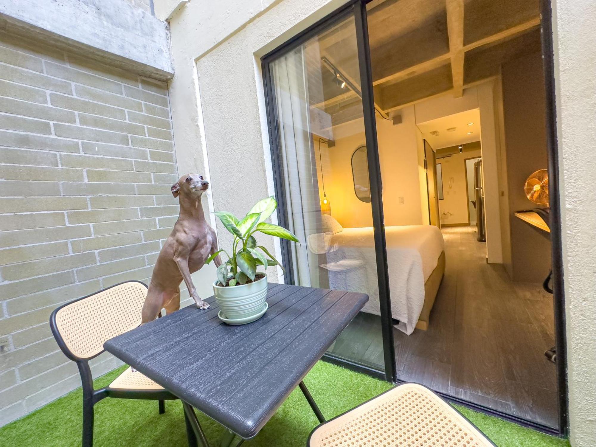 B 48 Living By B Rent Appartement Medellín Buitenkant foto
